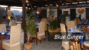 Blue Ginger - Greece - Athens